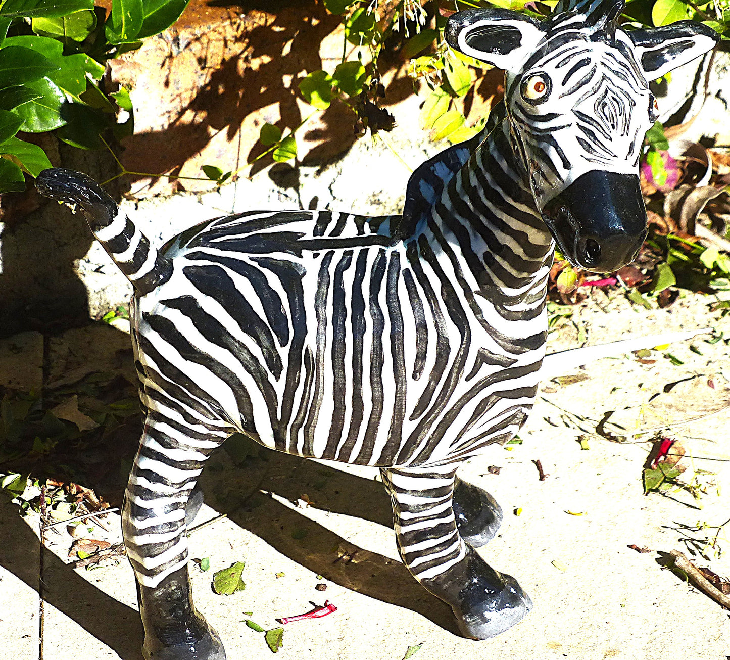 Charley Zebra