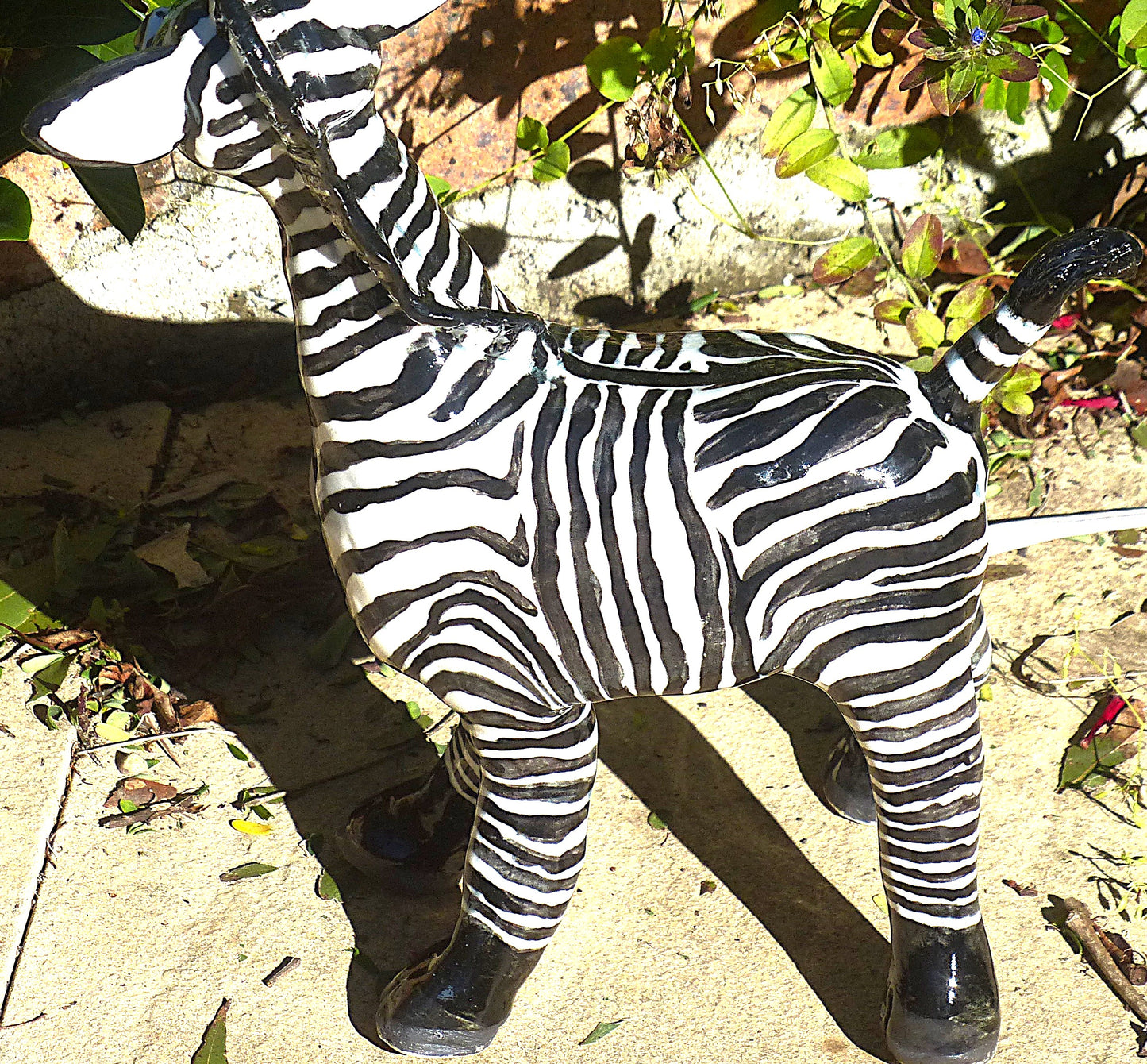 Charley Zebra