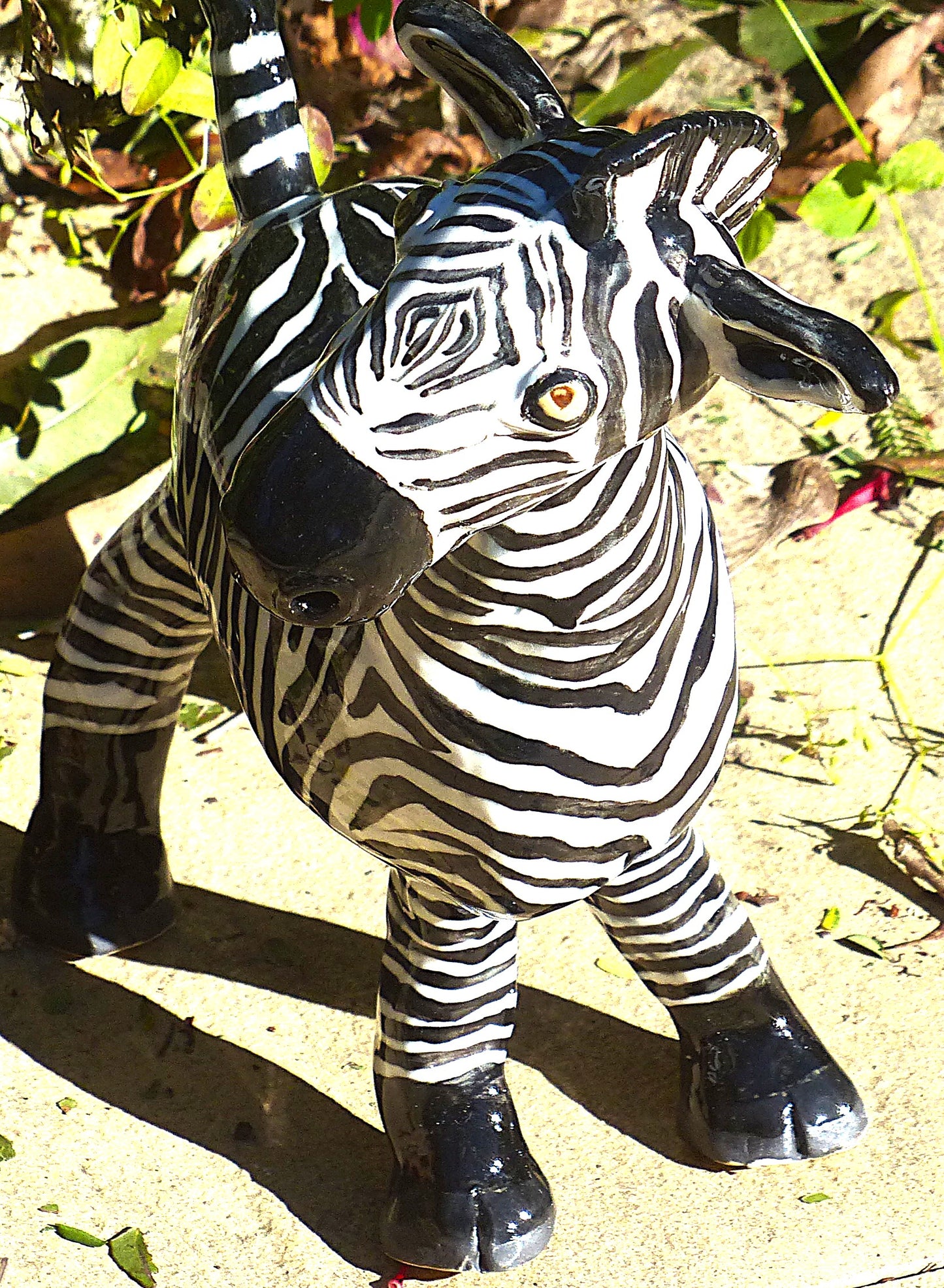 Charley Zebra