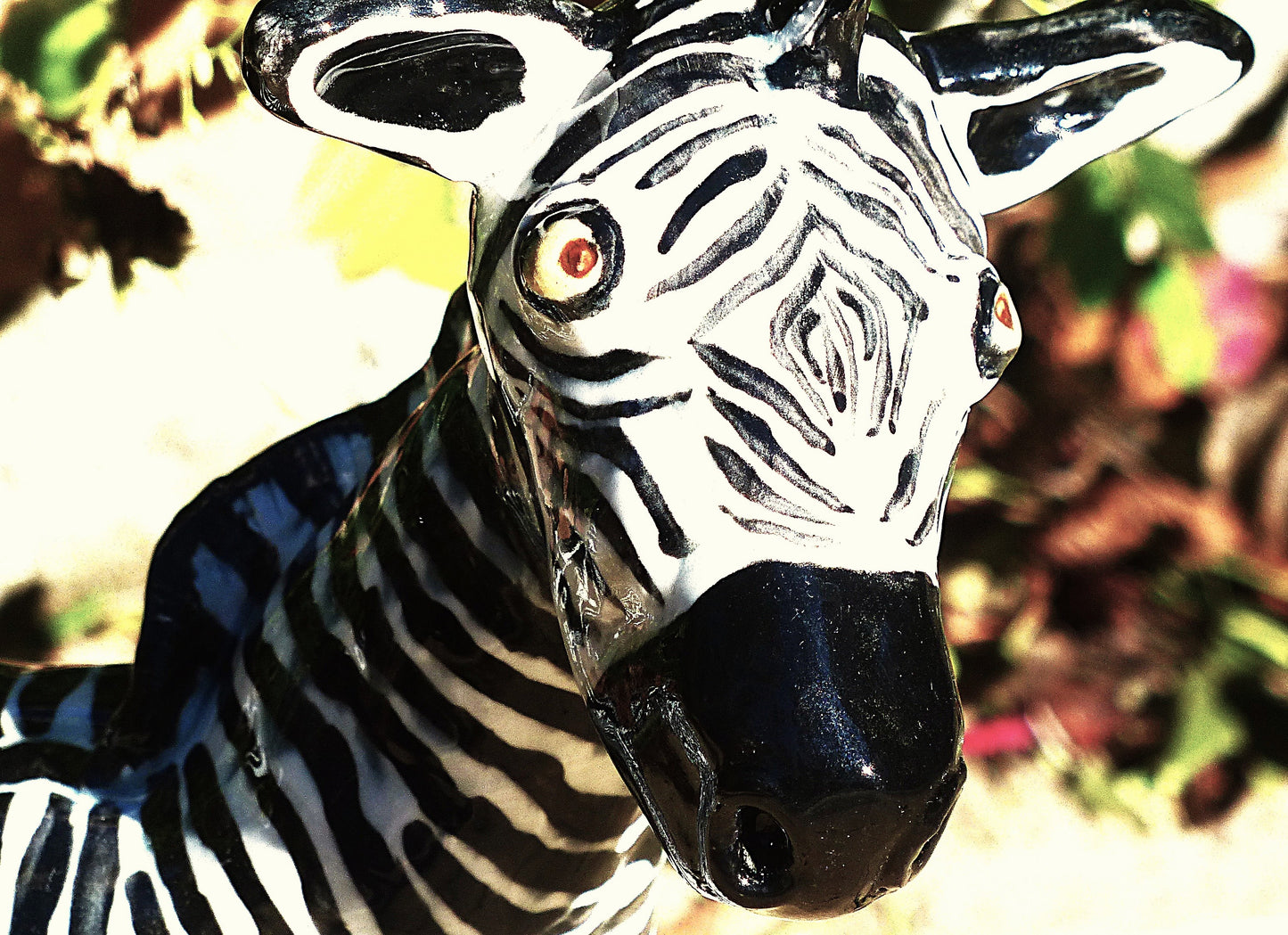 Charley Zebra