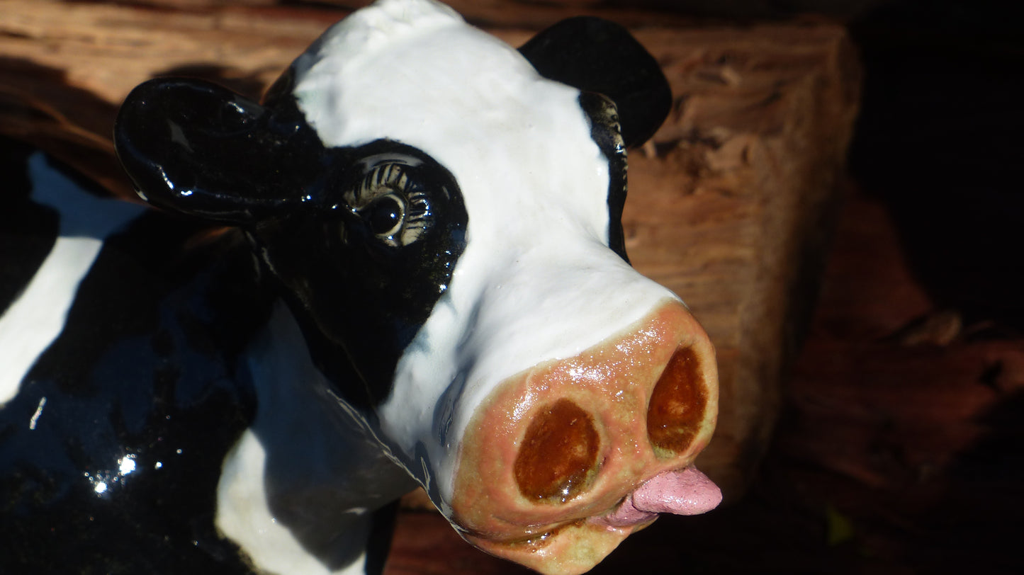 Mabel and Bonney, Cow and Calf