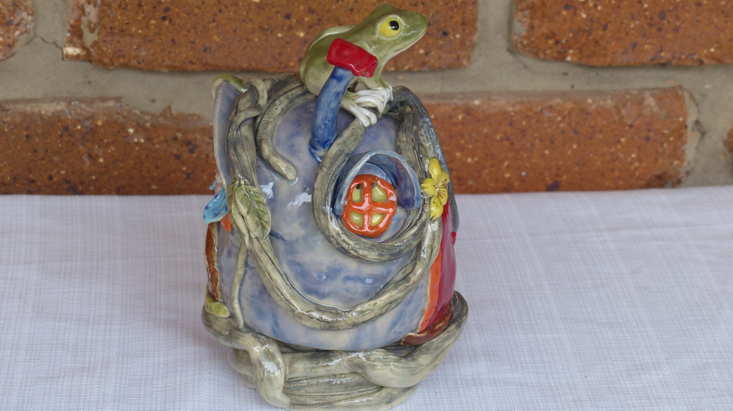 Frog On House