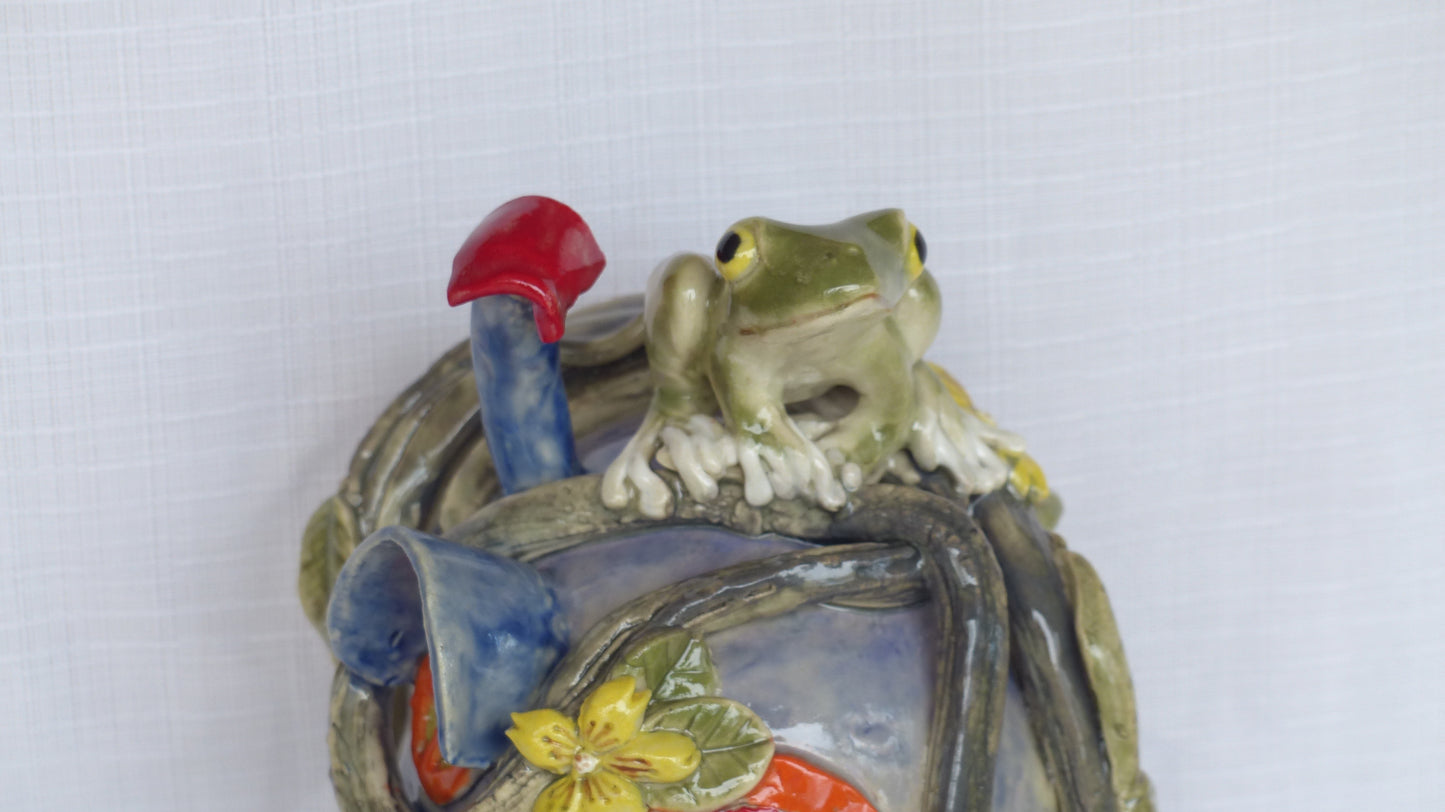 Frog On House